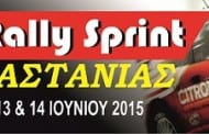 1ο Ράλλυ Σπριντ Καστανιάς 2015